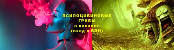 сатива Алексеевка