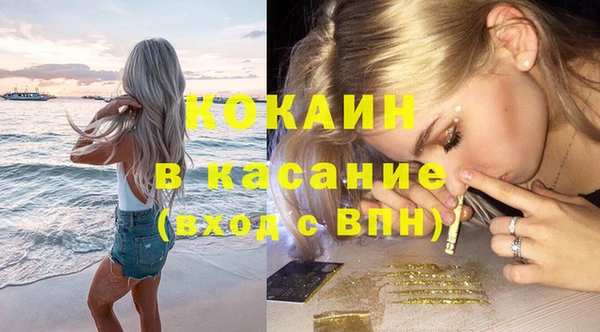 шишки Алексин