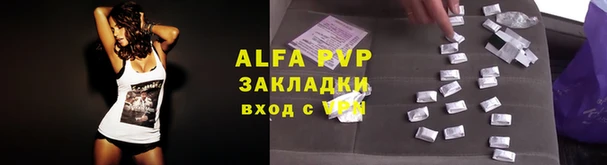 сатива Алексеевка